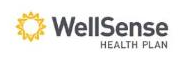 wellsense wellsenselogo